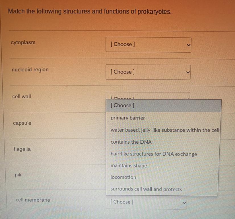 Match The Following Structures And Functions To The Prokaryotes, Please.