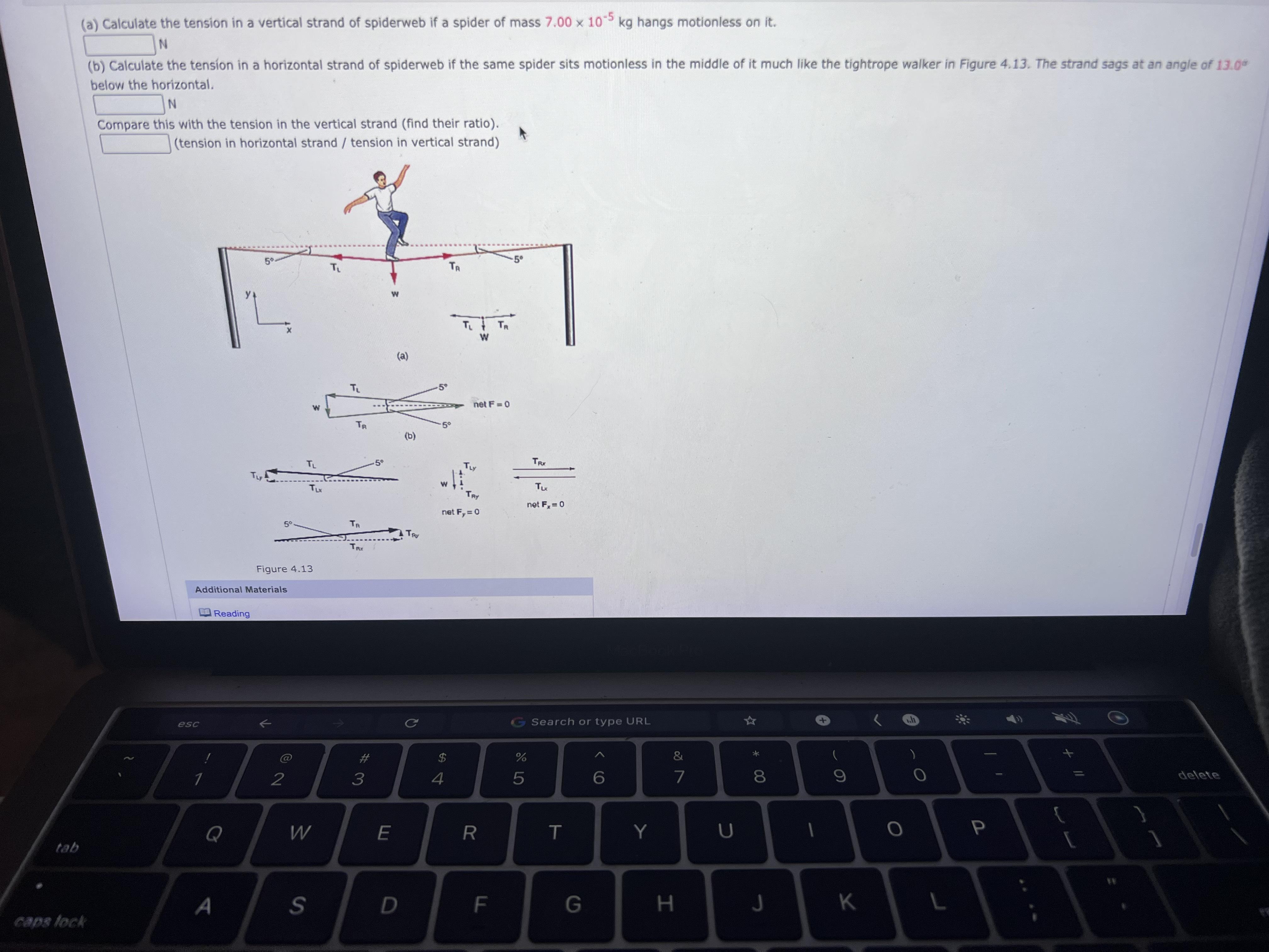 Module 2 Question 16(a) Calculate The Tension In A Vertical Strand Of Spiderweb If A Spider Of Mass 7.00