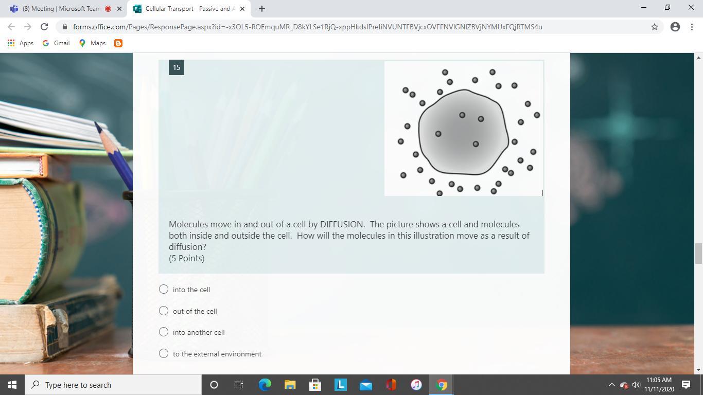 Pls Help Molecules Move In And Out Of A Cell By DIFFUSION. The Picture Shows A Cell And Molecules Both