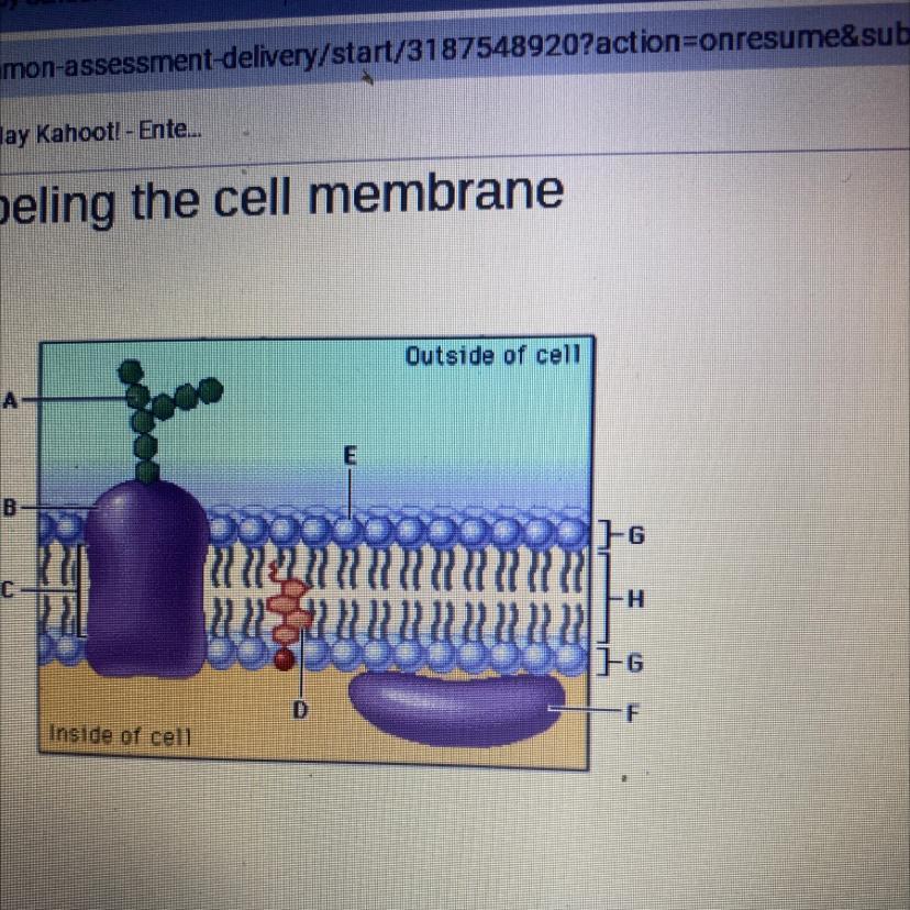 What Is Layer E Pointing To