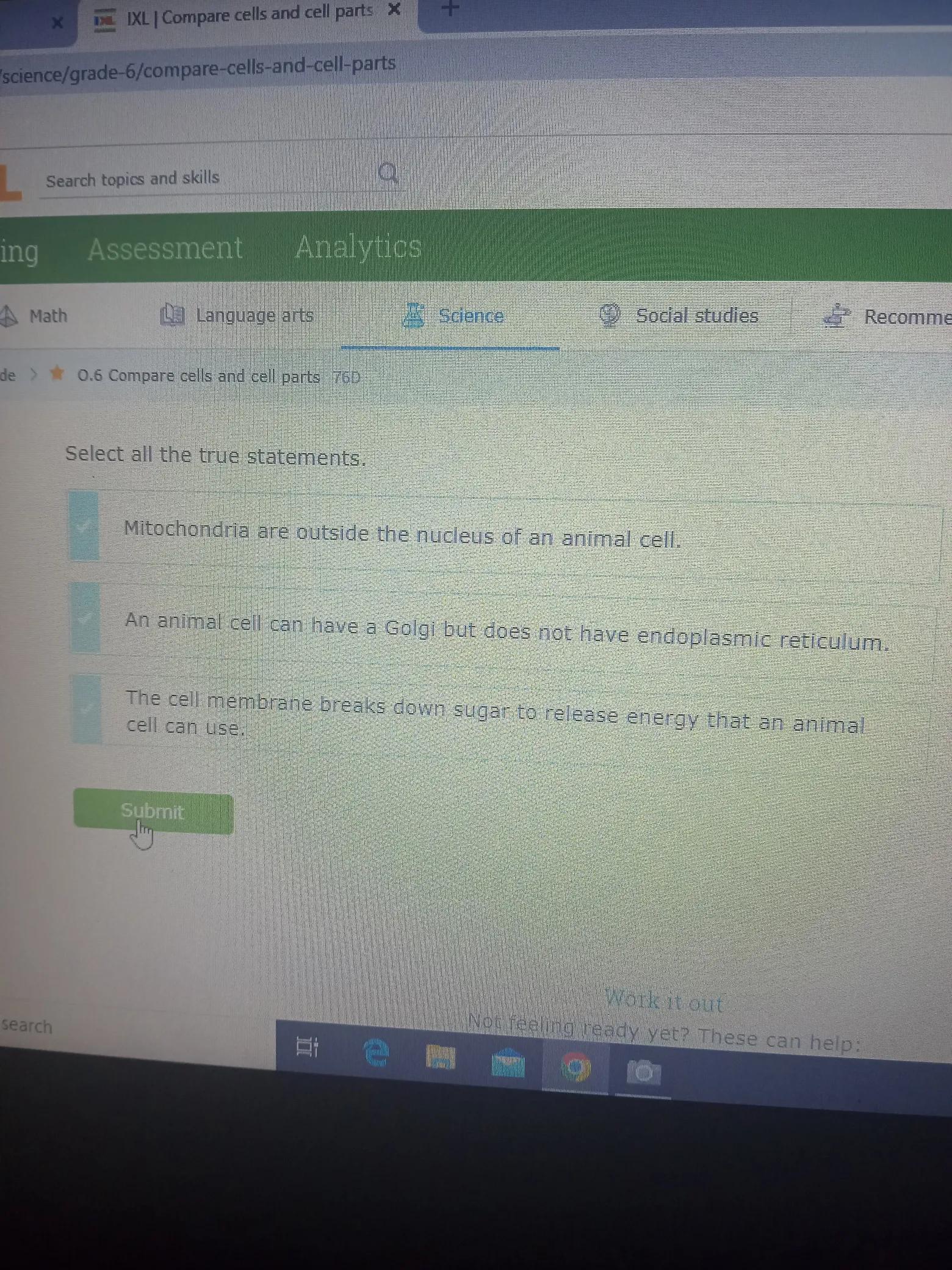 Select All The True Statements :a) Mitochondria Are Outside The Nucleus Of An Animal Cell.b) An Animal