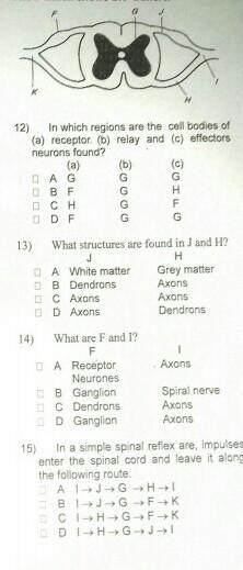 34 POINTS! BRAINLIEST TO THE RIGHT ONE!! PLEASE ANSWER THESE FOUR MCQ'S!!!!! THANK U!!