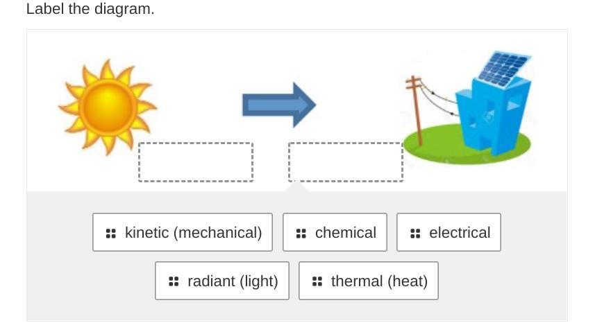 Label The Diagram.Please Actually Say The Answer!