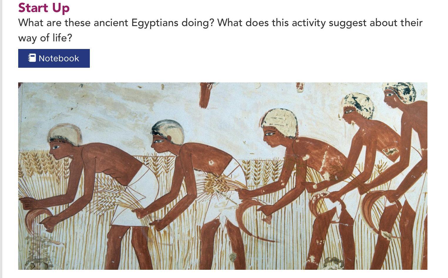 What Are These Ancient Egyptians Doing? What Does This Activity Suggest About Theirway Of Life?