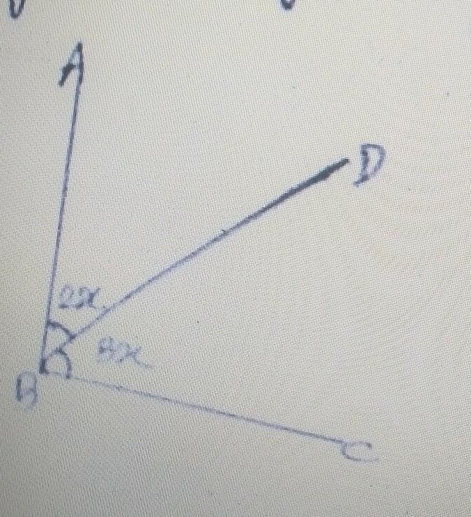 What Is The Value Of X In The Figure Pls Help