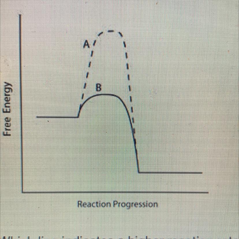 Consider The Energy Diagram Below.AYBFree EnergyReaction ProgressionWhich Line Indicates A Higher Reaction