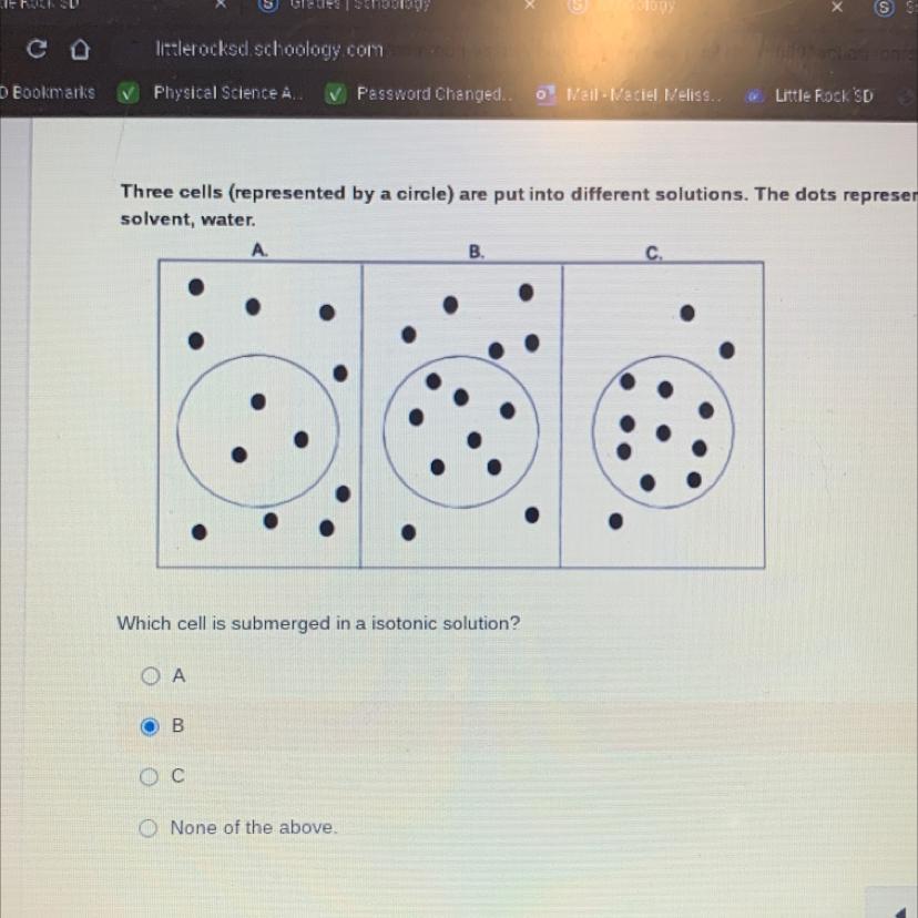 Three Cells (represented By A Circle) Are Put Into Different Solutions. The Dots Represent A Solute And